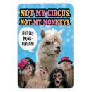 Recherche de cirque magnets Mignon