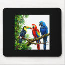 Recherche de oiseaux tropicaux tapis souris Été