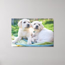 Recherche de labrador retriever art Puppy