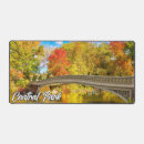 Recherche de central park tapis souris Manhattan