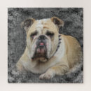 Recherche de race de chien puzzles Drôle