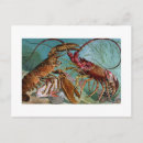 Recherche de homard cartes postales Aquarelle