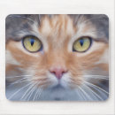 Recherche de petit adorable tapis souris Pour tous