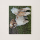 Recherche de tzus de shih puzzles Dog
