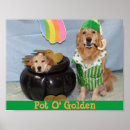 Recherche de leprechaun posters Chien