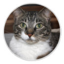 Recherche de chats gris boutons et poignées de porte Animaux