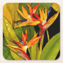 Recherche de oiseau dessous de verres Fleur