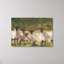 Recherche de moutons de art Agneau