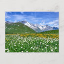 Recherche de alps cartes postales Paysage