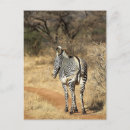 Recherche de wild africa posters Wildlife