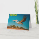 Recherche de pélicans vœux cartes Photographie