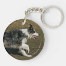 Recherche de border collie porteclés Colley frontière