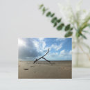 Recherche de ciel nuageux cartes postales Bord de mer