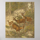 Recherche de de friedrich art Forêt