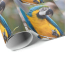Recherche de aras papier cadeau Bleu