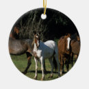Recherche de mustang ornements Sauvage