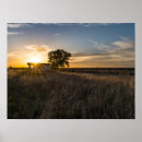 Recherche de grange abandonnée posters Paysage