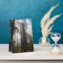 Recherche de californie plaques Forêt