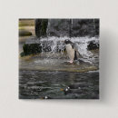 Recherche de amour pingouin badges Animaux