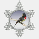 Recherche de bec ornements Animal