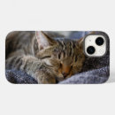 Recherche de chat domestique iphone coques Animal bébé mignon