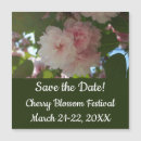 Recherche de arbre de floraison invitations Fleurs de cerisier