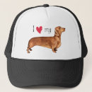 Recherche de teckel casquettes Doxie