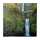 Recherche de automne de multnomah Paysage