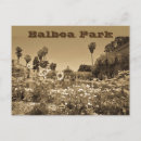 Recherche de balboa Californie