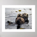 Recherche de mammifères marins posters Mer