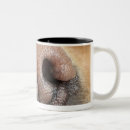 Recherche de plan rapproché tasses Animaux domestiques