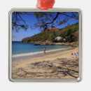 Recherche de pigeon ornements Plage