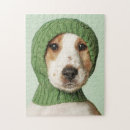 Recherche de cocker puzzles Canine