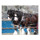 Recherche de cheval travail posters Agriculture