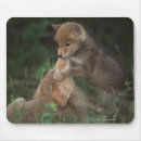 Recherche de coyote tapis souris Horizontal