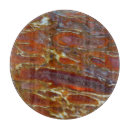 Recherche de dinosaure planches à découper Fossile