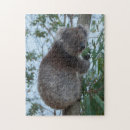 Recherche de koala puzzles Courbé