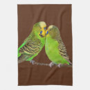 Recherche de perruches cuisine linges Animal familier