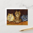 Recherche de chat persan cartes postales Perse