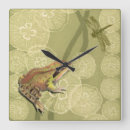 Recherche de libellule horloges Insecte