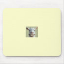 Recherche de croisillon tapis souris Orthodontique