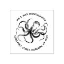 Recherche de poulpe Océan