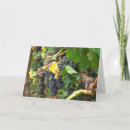 Recherche de vignobles vœux cartes Nature