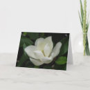 Recherche de magnolia vœux cartes Jolie