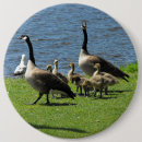 Recherche de oie badges Animaux