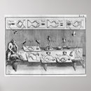 Recherche de expérimentation posters Grenouille