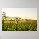 Recherche de brouillard art Ferme