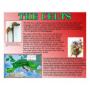 Recherche de celts posters Antique