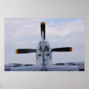 Recherche de p51 posters Combattant