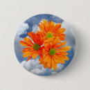 Recherche de tournesol badges Marguerite